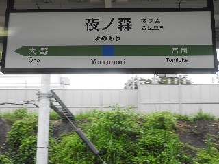 夜ノ森駅
