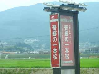 奇跡の一本松駅