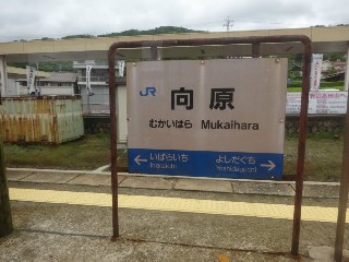 向原駅